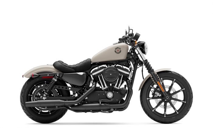 Harley-Davidson® Iron 883™ White Sand Pearl 2022